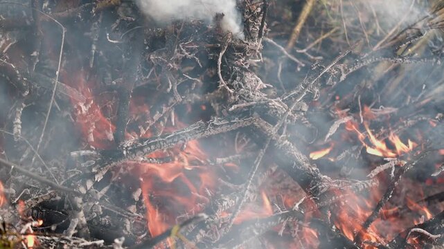 Smoky garden waste bonfire with green leaves and branches, small flames and drifting haze in a rural outdoor setting.