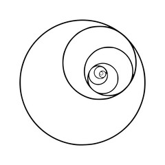 fibonacci circle vector