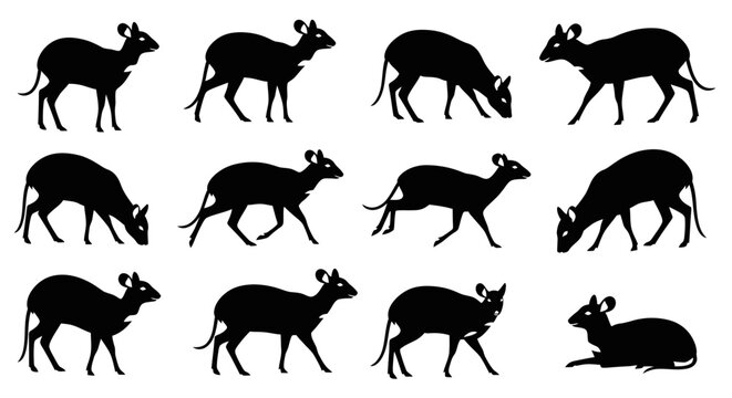 Collection of black mouse deer silhouettes in various poses,