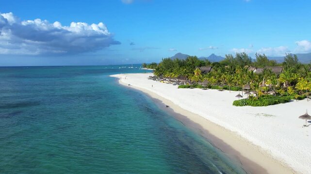 tropical island beach with palm trees and blue ocean waters aerial view