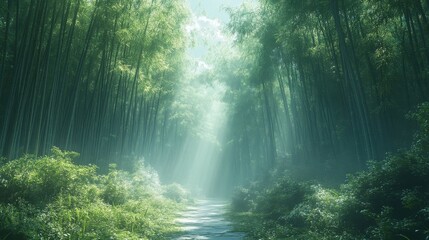 Fototapeta premium Sunlight Streams Through Lush Green Bamboo Forest Path With Verdant Foliage