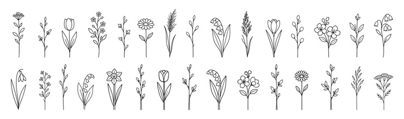 Fototapeta premium Minimal line art flowers collection in black outline style. Hand drawn botanical elements isolated on white background