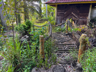 Small rustic log bridge in a lush tropical garden with wooden shack
