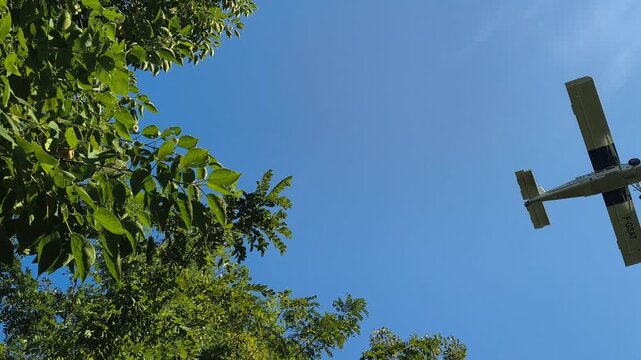 Airplane fly in the blue sky, Italy
