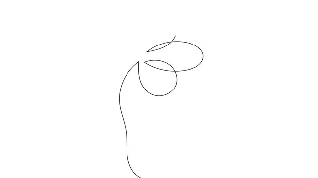 Continuous Single Line Drawing Animation of flowers, Minimalist Monoline Flower Illustration, Simple Linear Flower Line Vector on White Background for Botanical and Nature Design