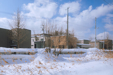 snow in hokkaido