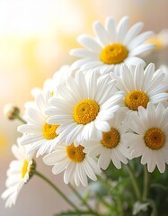 Obraz premium A fresh and cheerful bouquet of daisy flowers beautifully arranged to highlight simplicity and natural beauty. The bright white petals and sunny yellow centers create a clean, uplifting, and joyful at