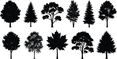 Black silhouettes of various trees on white background tree, silhouette, black, white, background, nature, plants, foliage, landscape, deciduous, evergreen, conifer, leafy, treetops, trunks, branches,