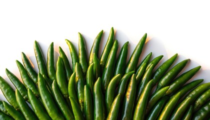 Fresh Green Chilies Arranged on White Background for Culinary Use