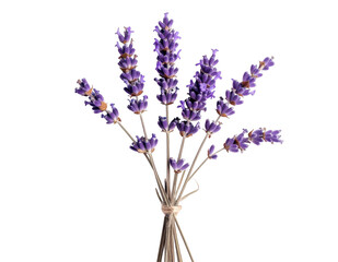 Obraz premium Dried lavender sprigs tied with twine against a stark black background