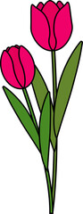 Obraz premium Hand Drawn Pink Tulip Floral Stem