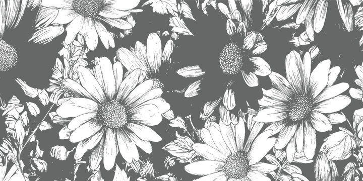 White daisy flowers with detailed petals and centers on a dark gray background