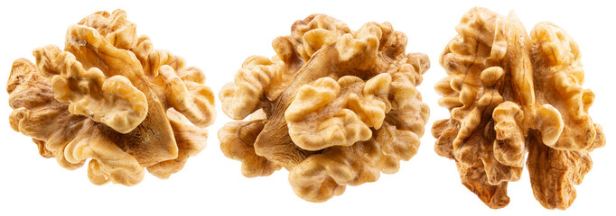 Walnut isolated on white background