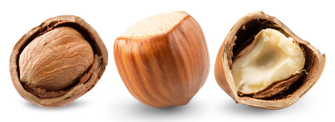 Hazelnuts with shell isolated on white background