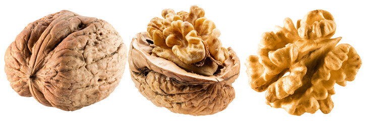 Walnut isolated on white background