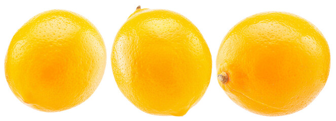 Lemon fruit isolated on the white background. Clipping Path.