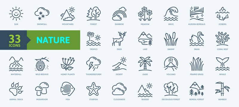 Outdoor icon set, a collection of simple linear symbols on the theme of nature, various natural phenomena, including icebergs, northern lights, deserts, rainbows, animals, and plants.