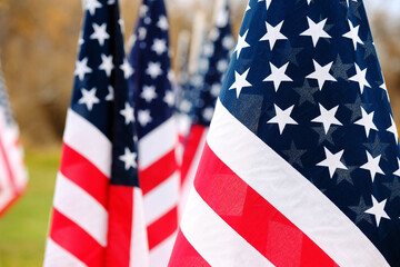 Fototapeta premium Cluster of American Flags for Memorial of Veterans of Armed Serv