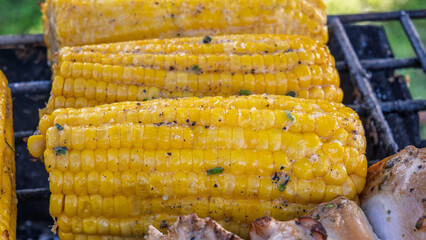 Golden grilled corn on the cob closeup
