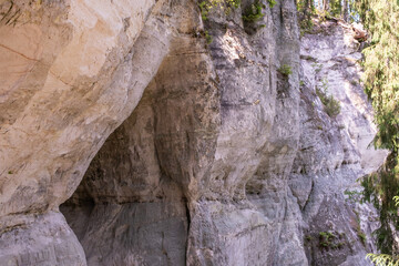 Imposing vertical sandstone wall in pine forest