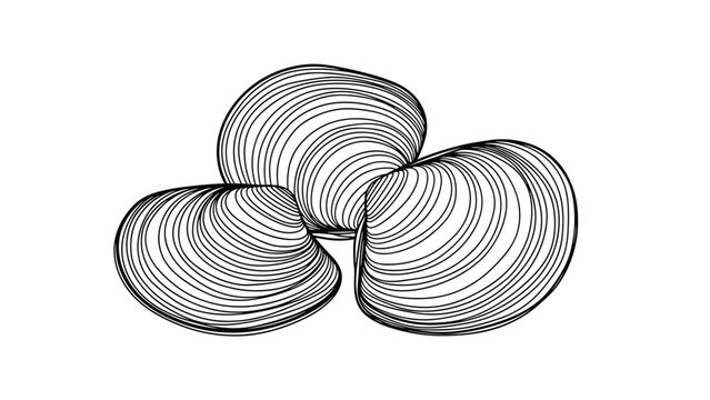 Three closed clam shells with detailed ribbed textures, presented in a black and white line drawing for seafood or nature themes.