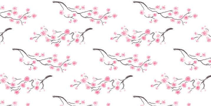 Seamless Sakura Cherry Blossom Branches Pattern, Spring Floral Background, Textile Wrapping Paper Wallpaper, hand drawn watercolor style, Flat Vector Illustration on white background