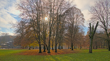 Obraz premium Autumn sun behind the colourful trees in Sonian forest in fall. Brussels, Belgium