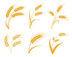 A collection of golden wheat icons on a white background