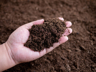Hand holding rich organic peat moss soil for planting, agriculture and gardening preparation