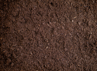 Top view of organic soil texture background, dark brown potting mix for gardening