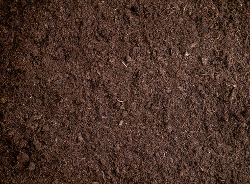 Top view of organic soil texture background, dark brown potting mix for gardening