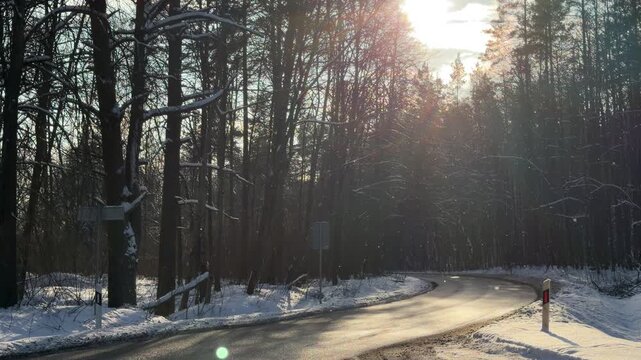 Sunlit Curve on Asphalt Road in Winter Forest. Scenic view of winding asphalt road through dense winter forest. Low sun casts long shadows and lens flare through bare trees and pines.