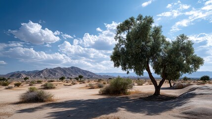 Fototapeta premium Evergreen desert flora stands prominently against a backdrop of rugged mountains under a vast blue sky.