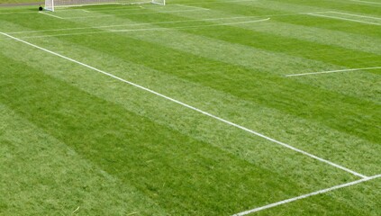 Obraz premium View of freshly mowed soccer field with white boundary lines and a goal post