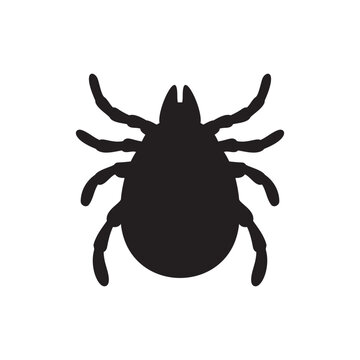 Insect tick silhouette icon vector flat design.