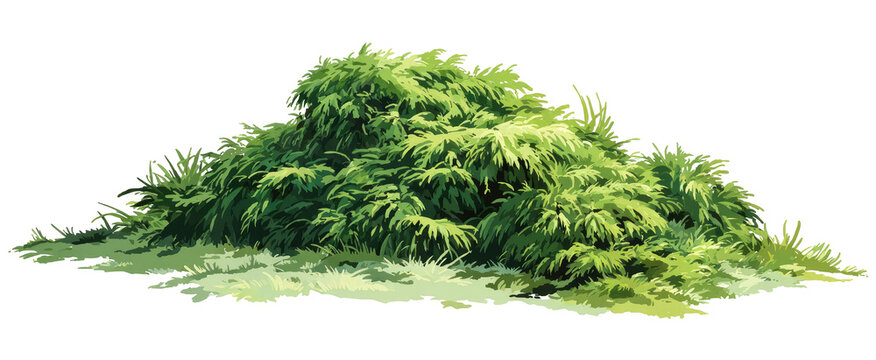 Lush green foliage mound (2)