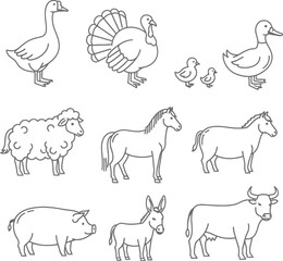 Farm animals and waterfowl illustrations