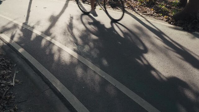 Shadow of people riding bicycles on the road under tree shade