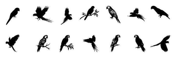 Obraz premium Parrot and Macaw Bird Silhouettes Set in Flight and Perched Positions Isolated on White Background
