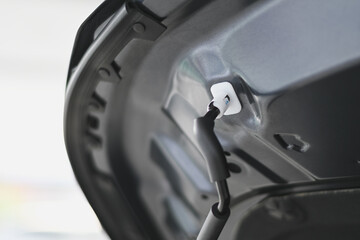 Underside of an open grey car hood with white clip.