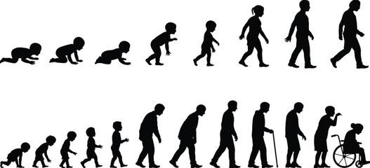 Fototapeta premium Human Life Cycle Silhouette Progression from Baby to Elderly Person in Wheelchair vector illustration