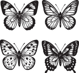 Obraz premium Four black and white butterfly sketches