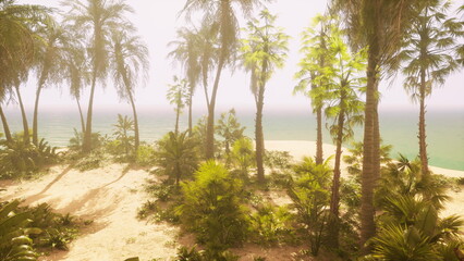 Obraz premium A serene tropical landscape reveals swaying palm trees and soft sand, as gentle waves lap the shore. Early morning light bathes the scene in warmth and tranquility, creating a peaceful atmosphere.