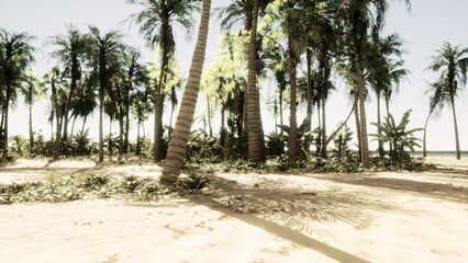 Bright sunlight filters through tall palm trees, casting playful shadows on the warm sand. The serene beach setting is framed by vibrant green plants, creating a peaceful tropical oasis.