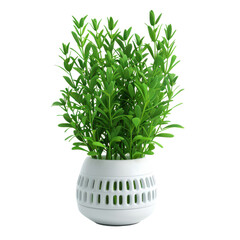 Green plant in a round pot with a simple design