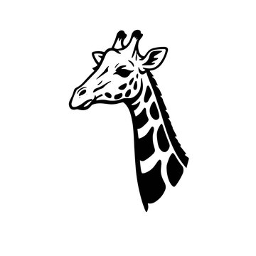 giraffe head vector illustration