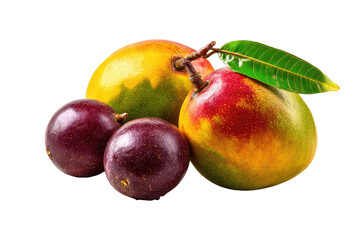Fototapeta premium Three vibrant tropical fruits, two ripe mangos with a mix of yellow, orange, and red, and two purple fruits, likely purple mangosteen or similar, displayed close together. 