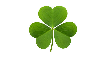 Obraz premium Three-Leaf Clover Image, isolated on white or transparent background. PNG