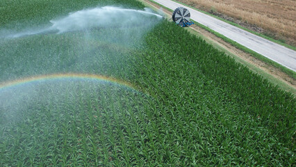Fototapeta premium Aerial view of a cornfield being irrigated with a rainbow forming in the mist
