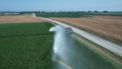 Fototapeta premium Aerial view of a large agricultural irrigation system watering a green cornfield with a rainbow forming